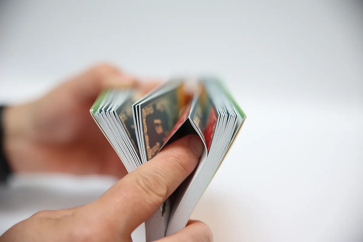 "SPECIAL V2 BINDING" – connected sections at the belly