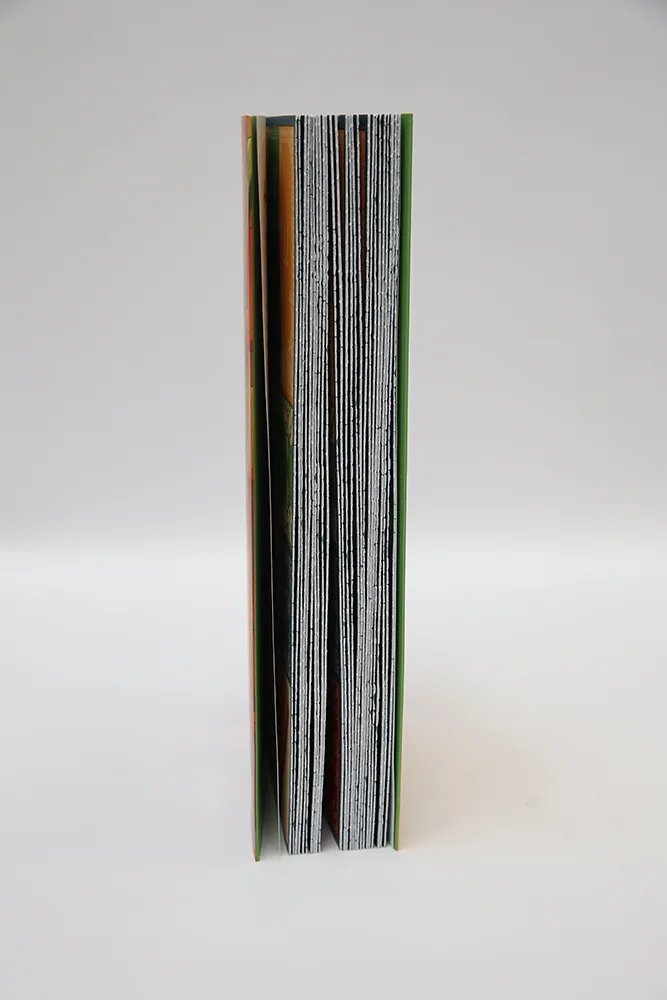 "SPECIAL V2 BINDING" – connected sections at the belly