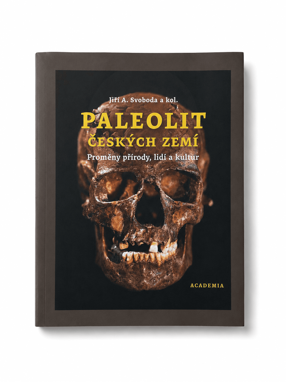 Two publications from Academia Publishing House received the Josef Hlávka Award
